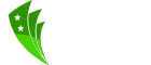 PakistanDomain pakistan logo dark